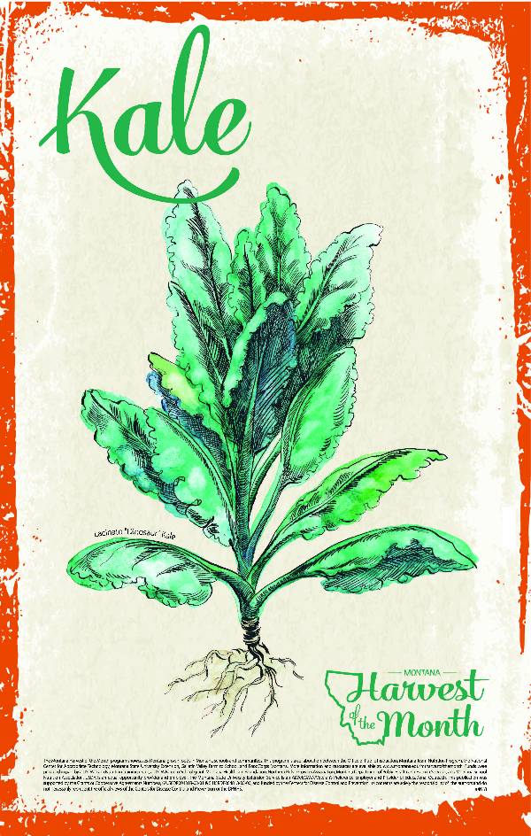 kale poster kale poster
