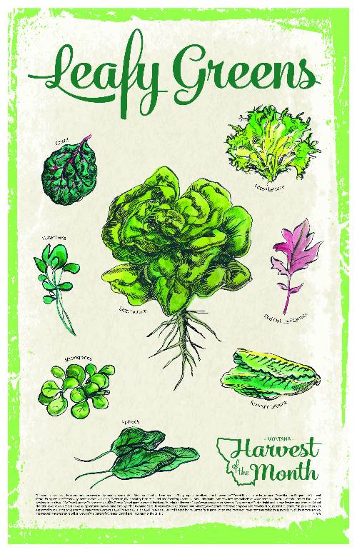 leafy green poster leafy green poster