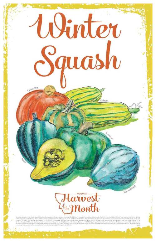 summer squash poster summer squash poster