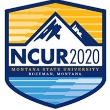 NCUR logo