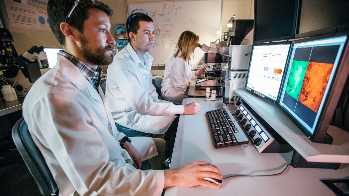 Laboratory workers in white coats work at computers on a desk.