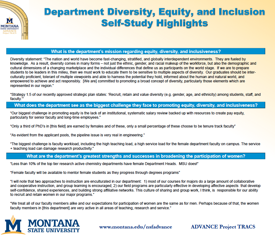Department Diversity, Equity, and Inclusion Self-Study Highlights
