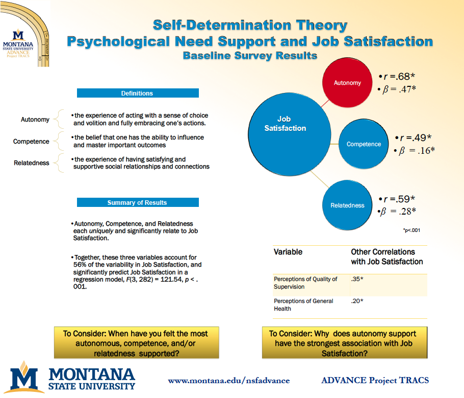 Self-Determination Theory