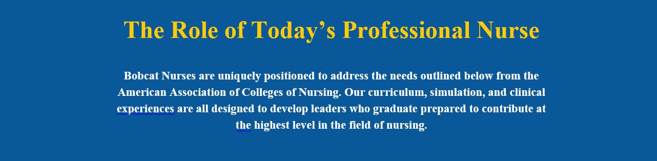 The Role of Today's Professional Nurse