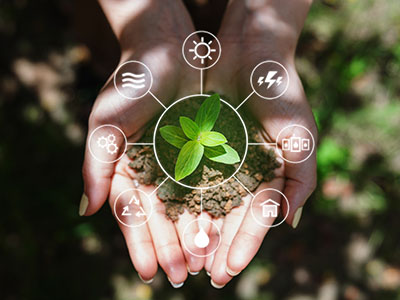 plant in hand