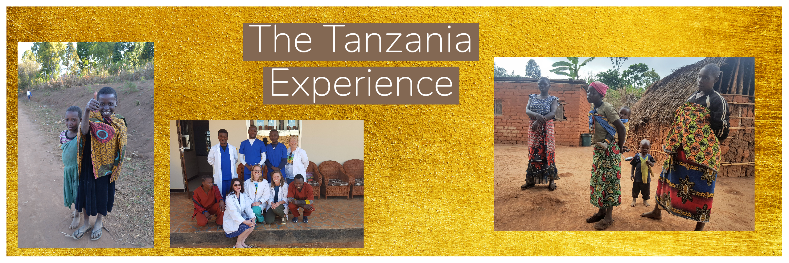 The Tanzania Experience