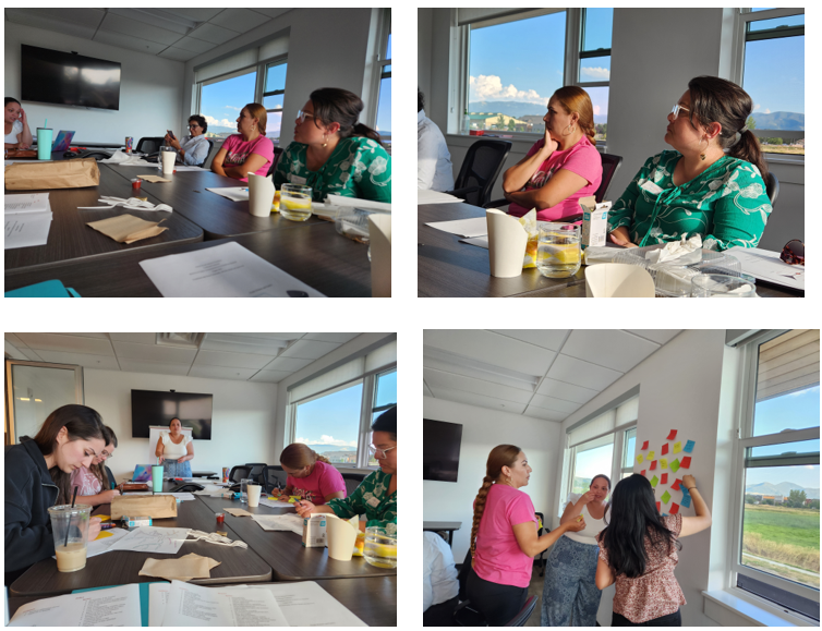 RWJF CAB Meetings