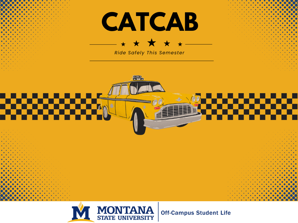 CatCab Posrer Square