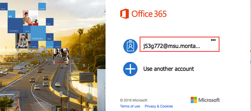 Office 365 ProPlus - Office 2019 for Mac - Office 365 | Montana State  University