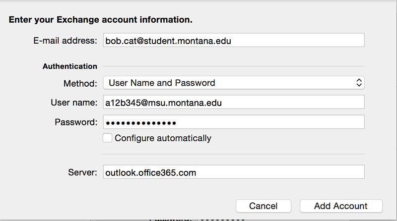 Screenshot of manual configuration panel where you enter the server address.