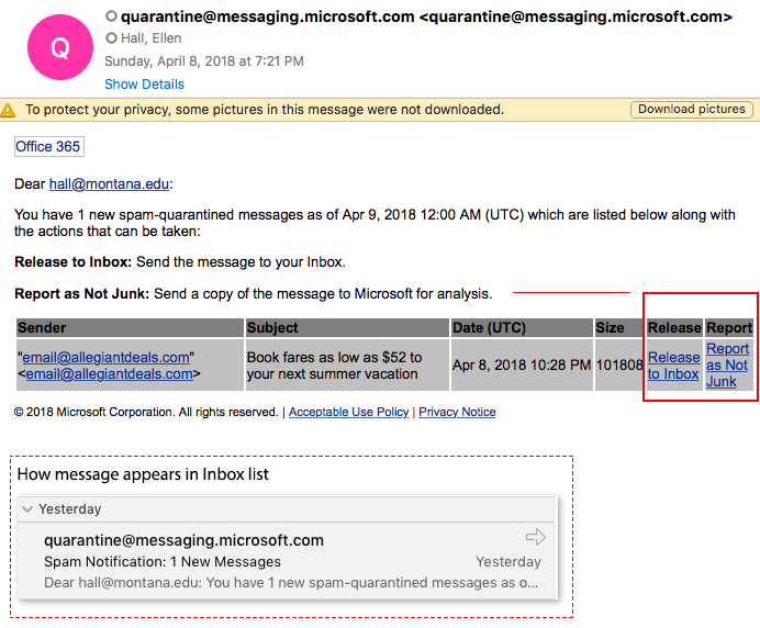 Shows screenshot of actual daily quarantine/spam notification message.