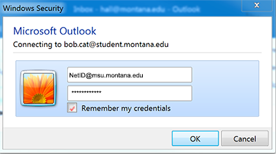 Screenshot of Microsoft Outlook login window