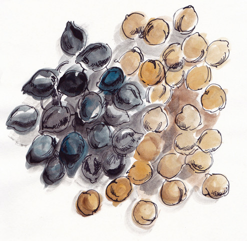 Watercolor illustration of chickpeas
