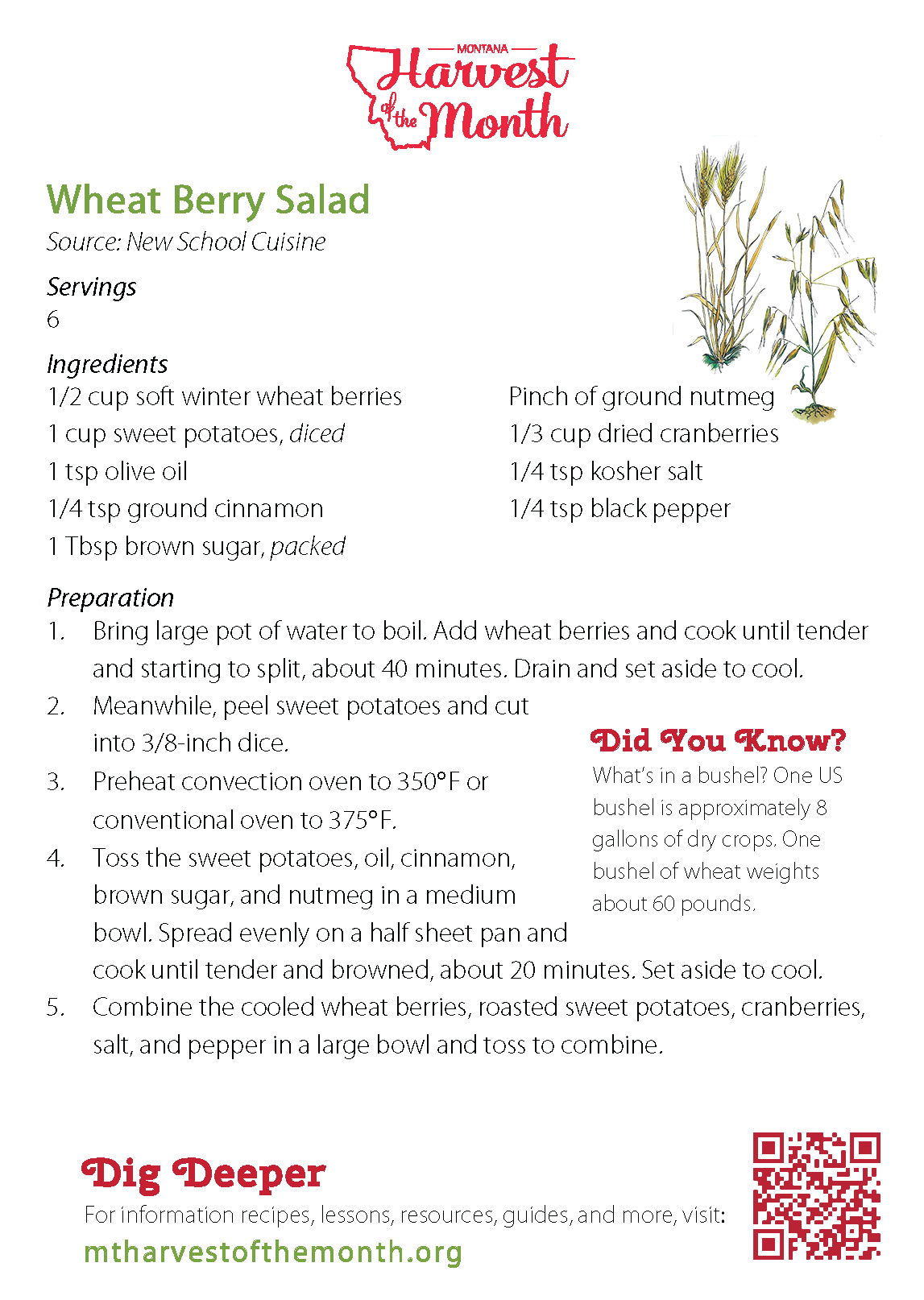 HOM21 Wheat Berry Salad Recipe