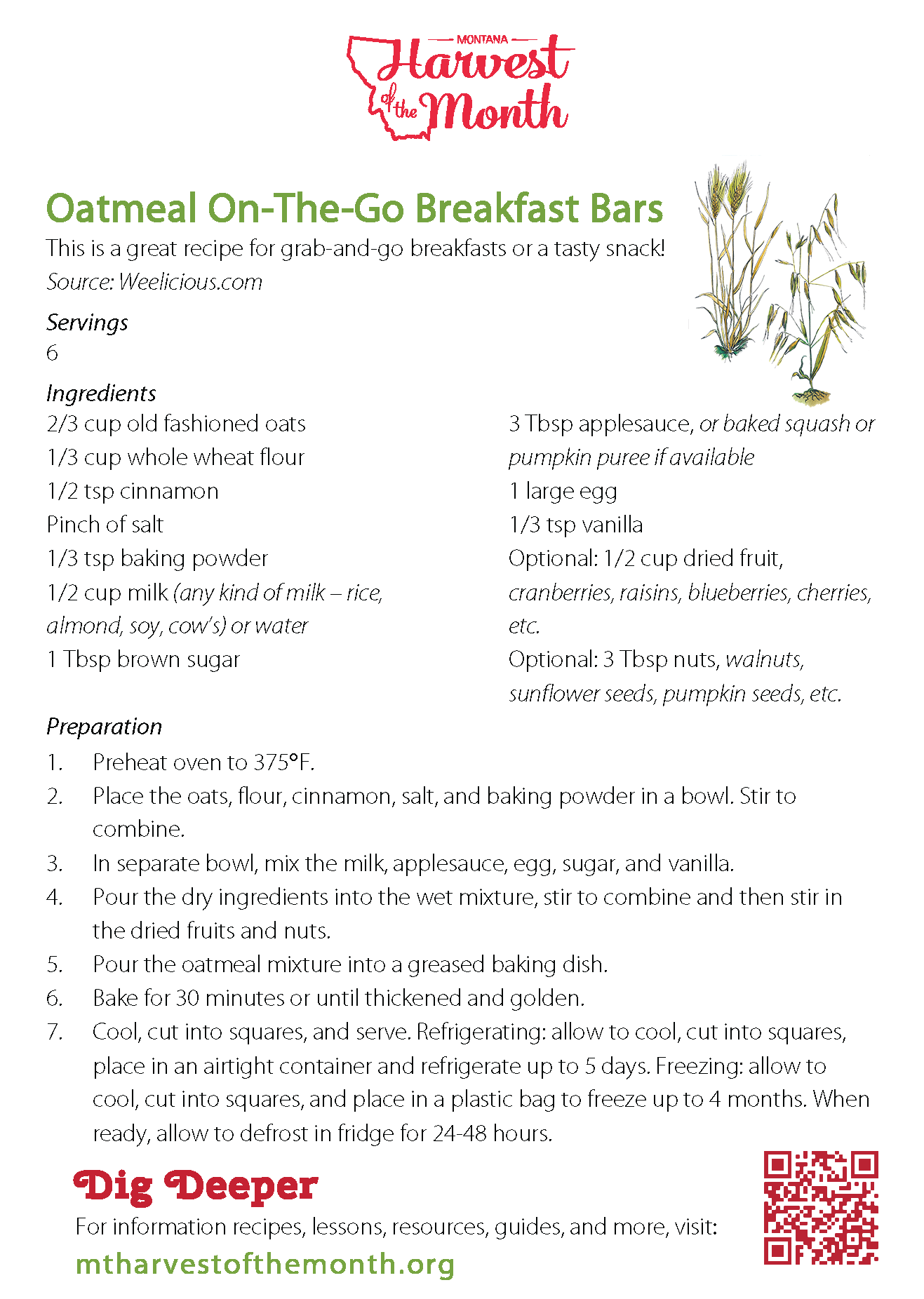 HOM21 Oatmeal Breakfast Bars