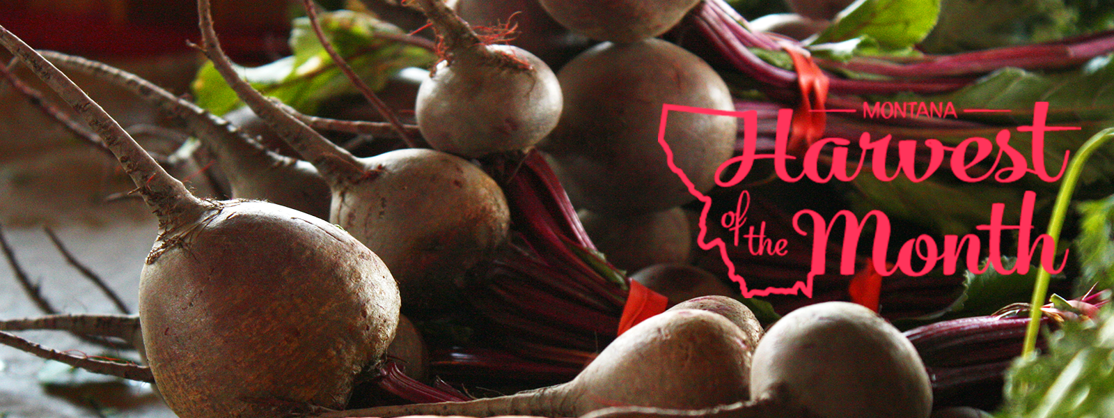Beets banner image