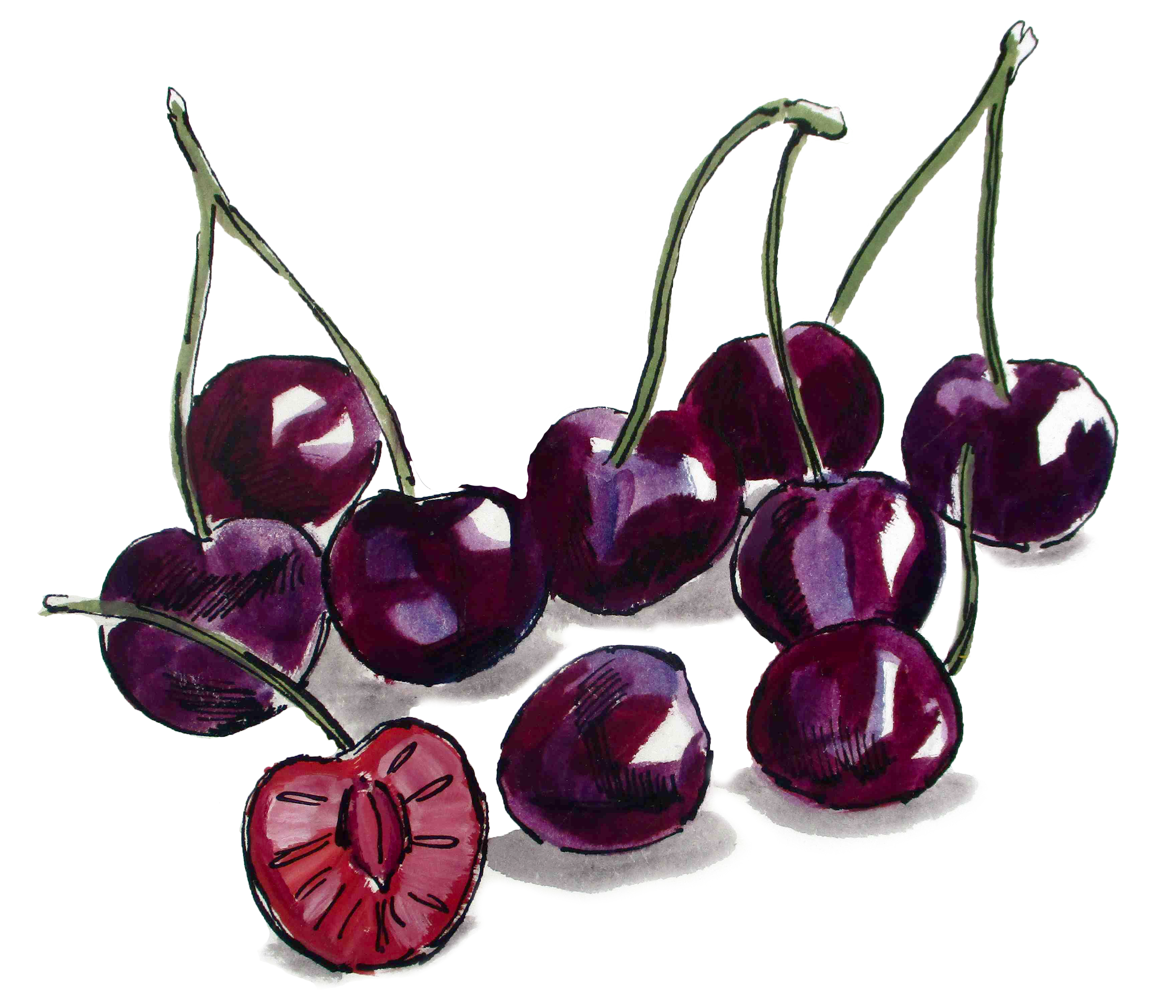 watercolor illustration of cherries