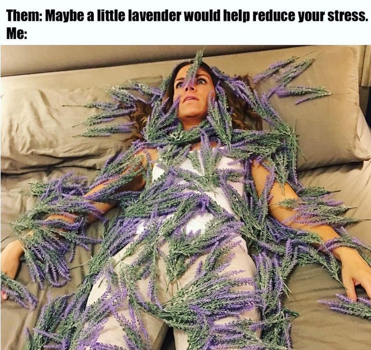A lady laying on her bed covered in lavendar. Title reads,"they said a little lavendar would help reduce stress"