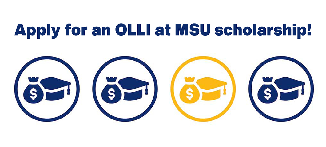 Apply for an OLLI at MSU scholarship!