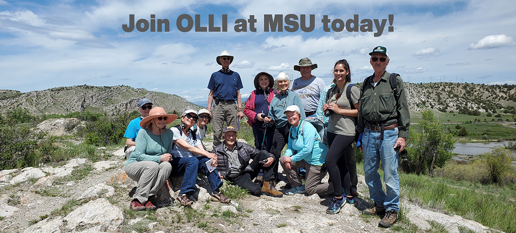 Become an OLLI at MSU member today!