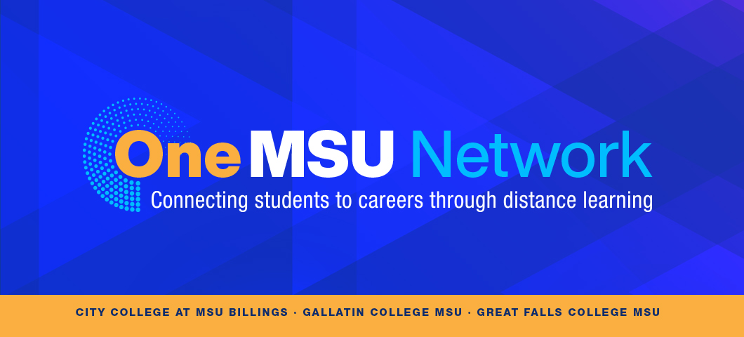 OneMSU: Connecting Students to Distance Learning.