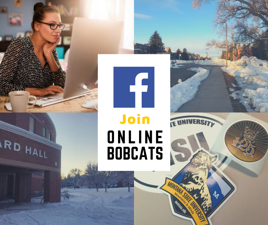 Join Online Bobcats