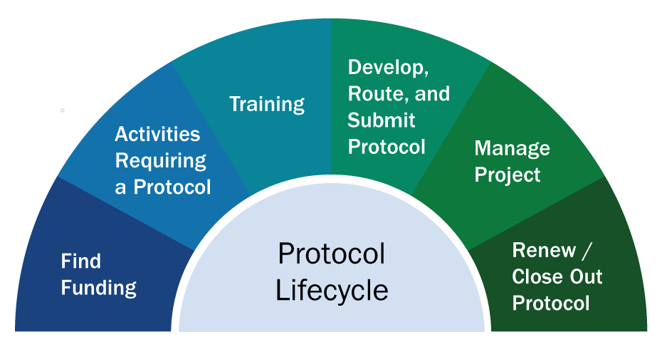 protocol lifecycle