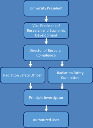 RSP organization chart