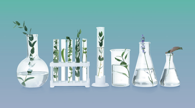 test tubes and greenery