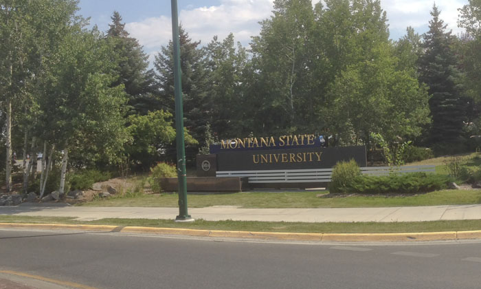Campus Entry Sign for MSU