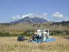 Edward operating heavy equipment in a field