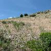 Hill side with little vegetation