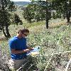 Student taking note of weed growth