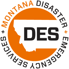 Logo DES