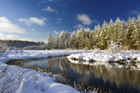 Snowy River