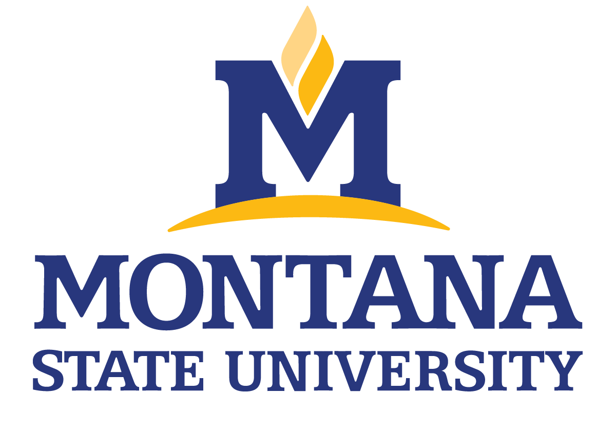 msu primary vertical logo