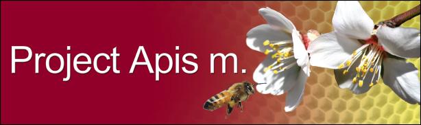 Project Apis m. Logo