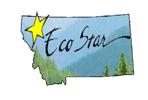 Ecostar EcoStar Logo