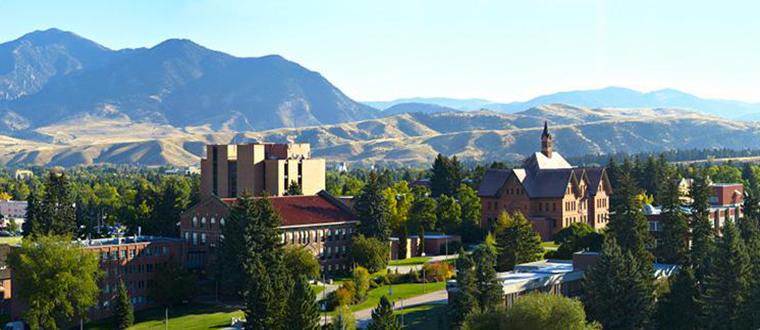 MSU Bozeman Campus Panoramic Poster