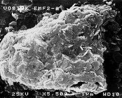 Vostok Ice Core (3590m): Scanning Electron and Atomic Force Micrographs