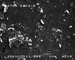 Vostok Ice Core (3590m): Scanning Electron and Atomic Force Micrographs