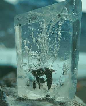 Ice block with sediment aggregates