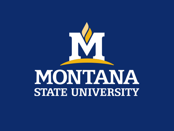 msu logo