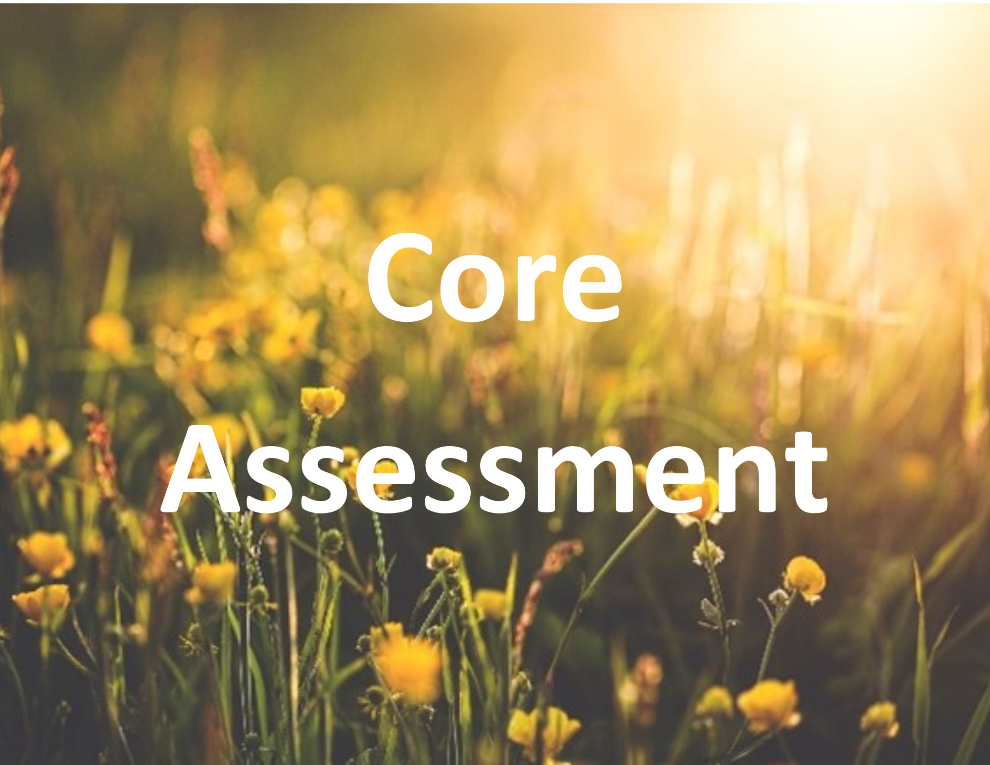 Core Assessment