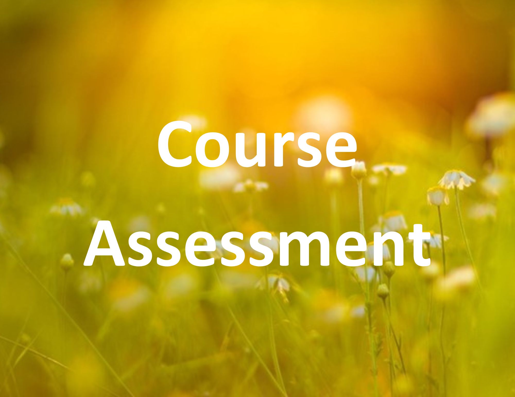 Course Assessment