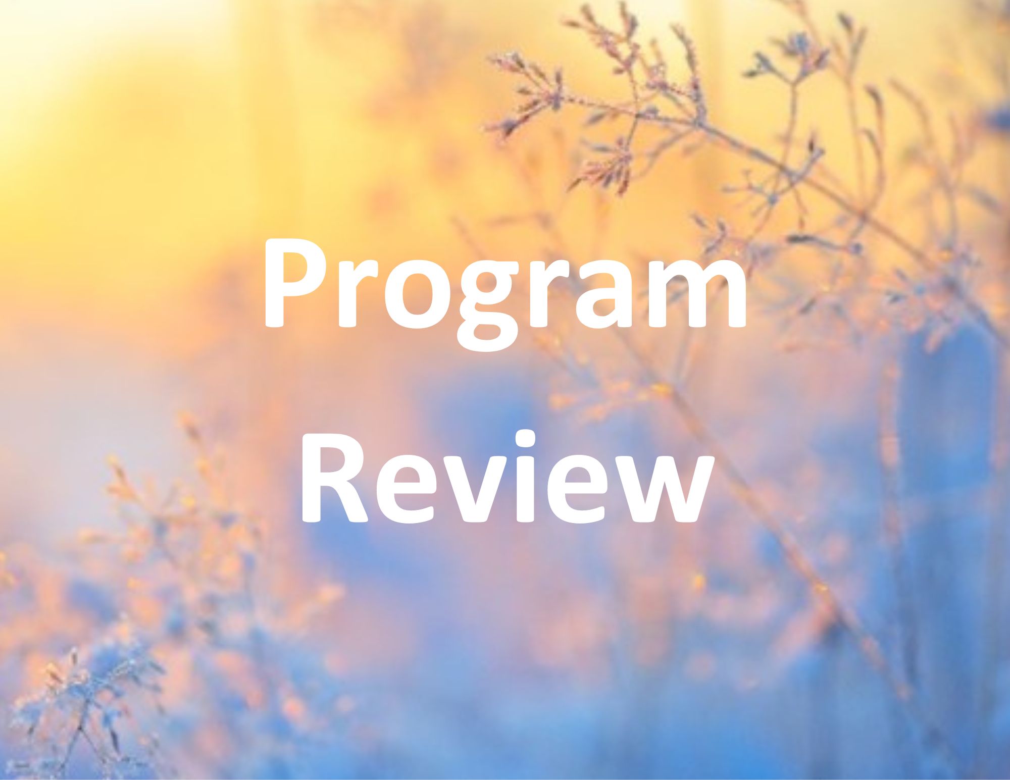 Program Review