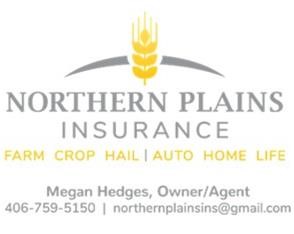 Northern Plains Insurance