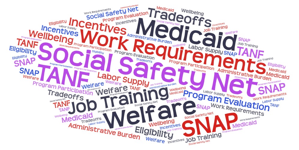 Word Cloud for Work Requirements & Safety Net