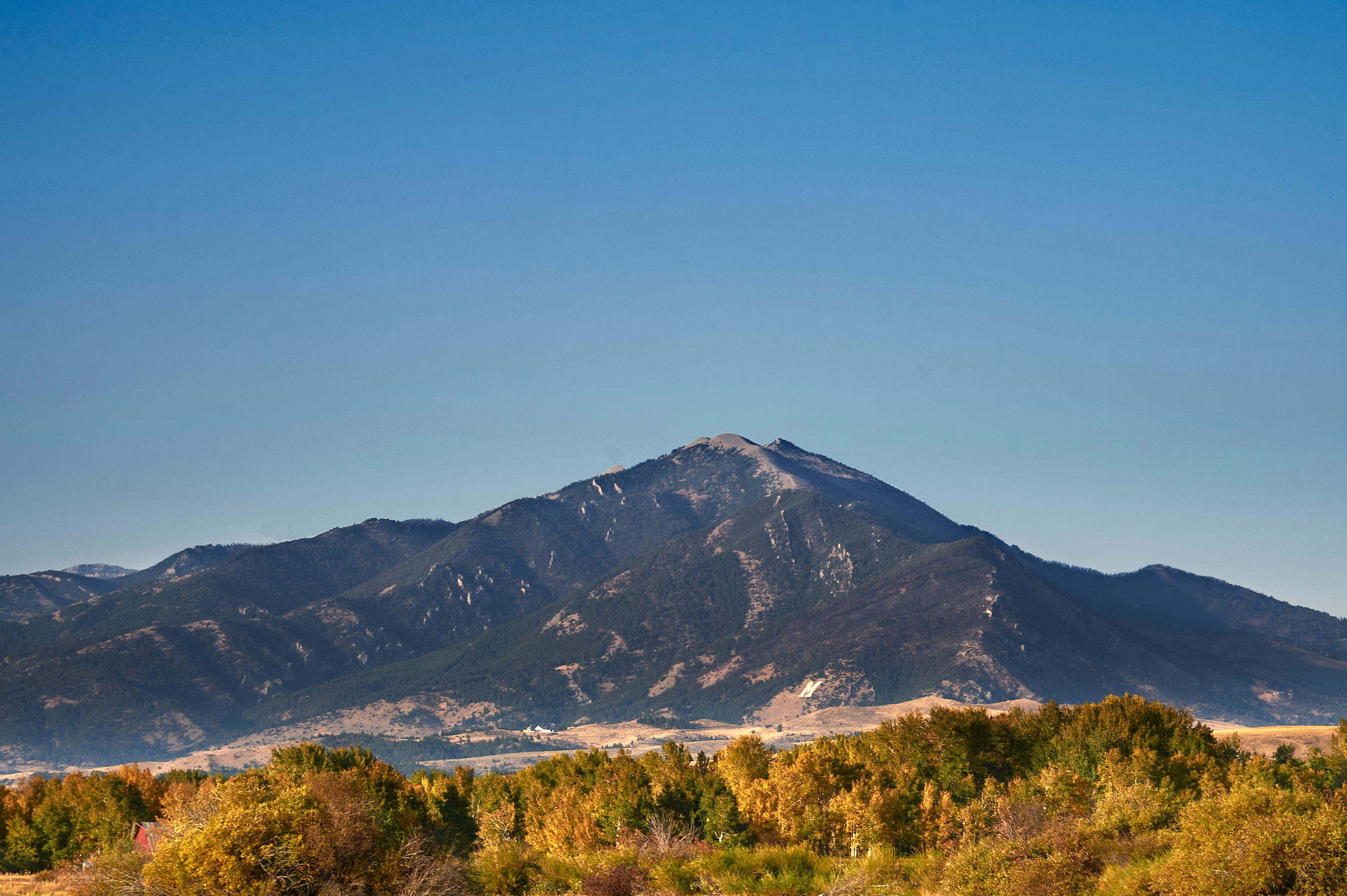 Bridger mountains with fall foliage in foreground