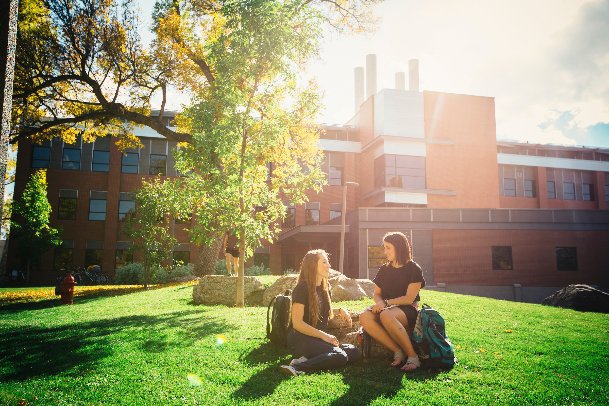 students sitting on lawn